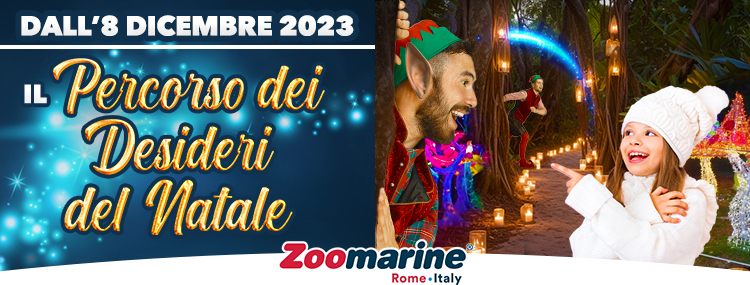 IL PERCORSO DEI DESIDERI DEL NATALE